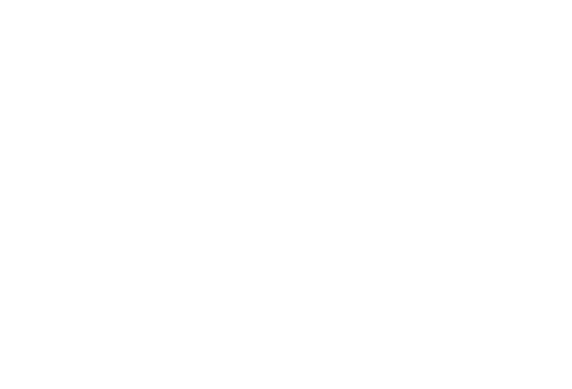 home icon 2