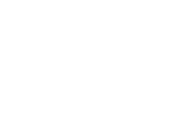 home icon 3