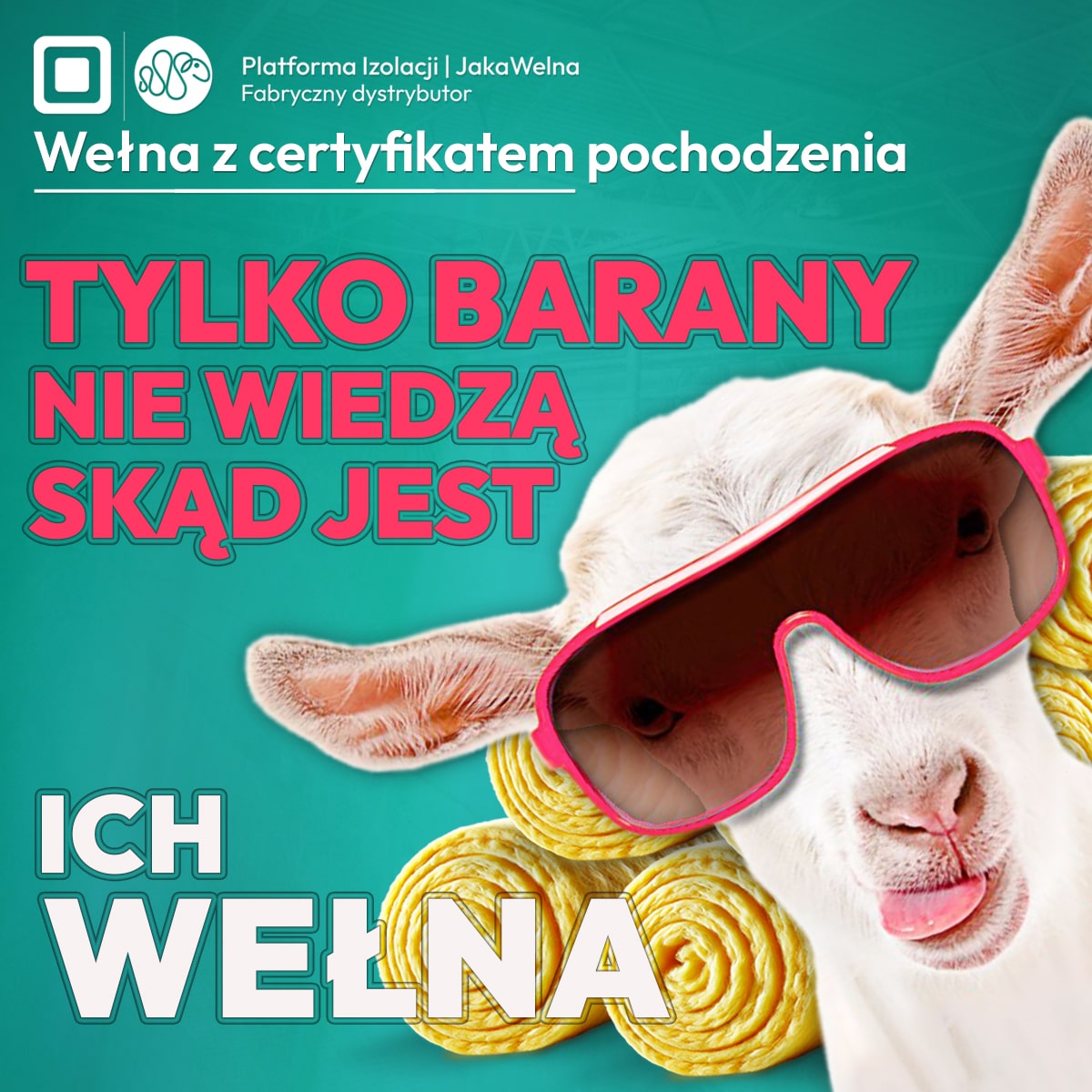 Tylko barany nie wiedzą skąd jest ich wełna.